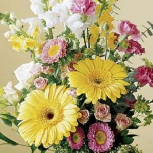 Meet your Posher, Nancy